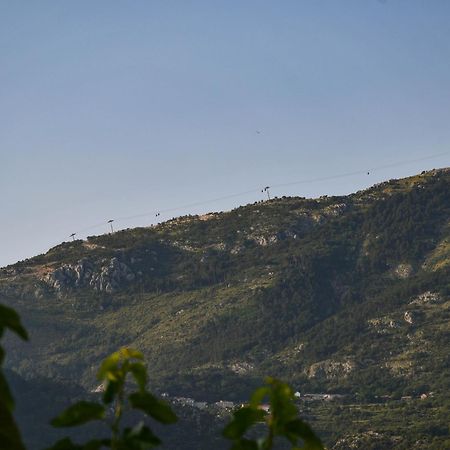 Raj Apartman Kotor Kültér fotó