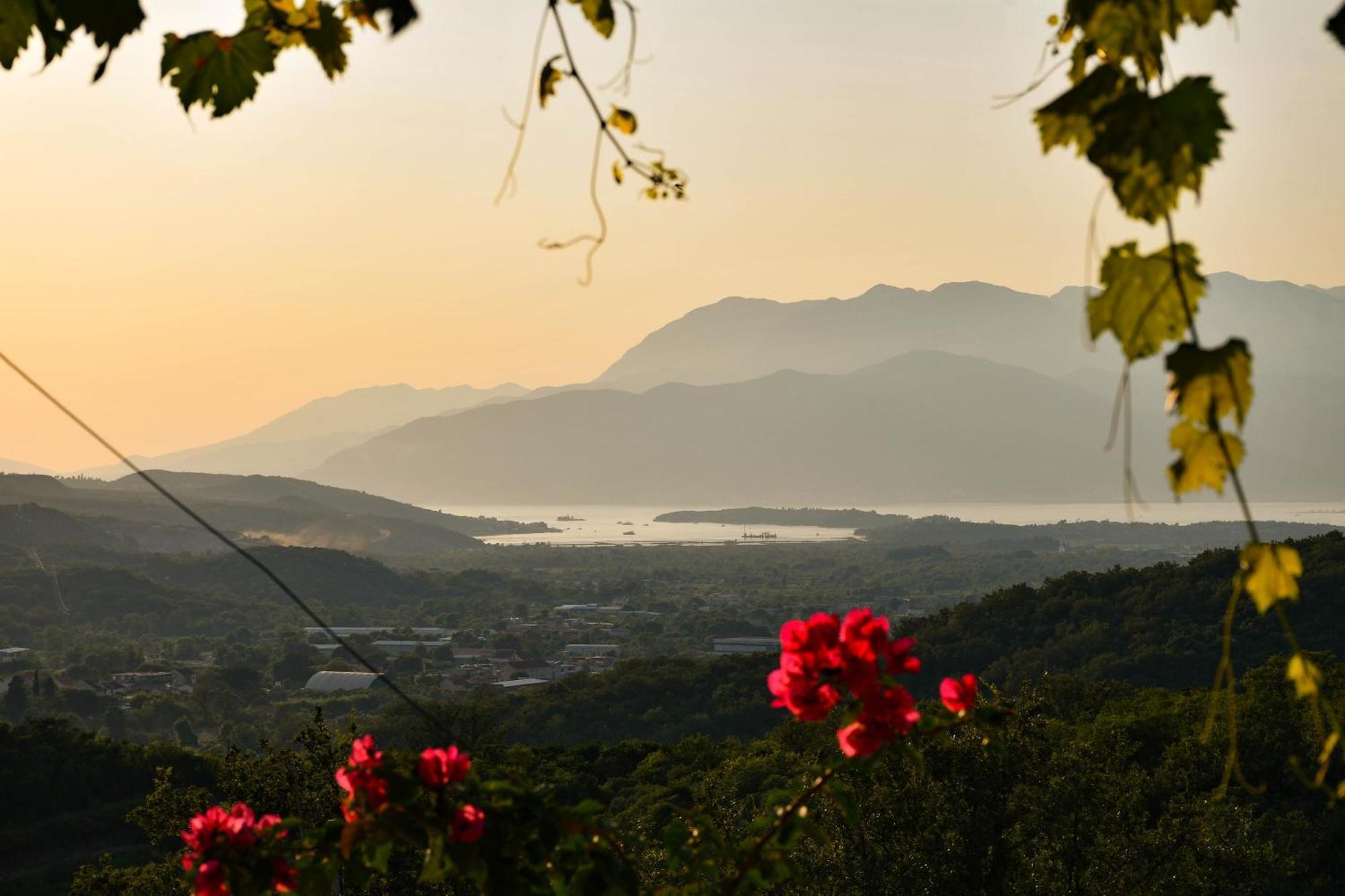 Raj Apartman Kotor Kültér fotó