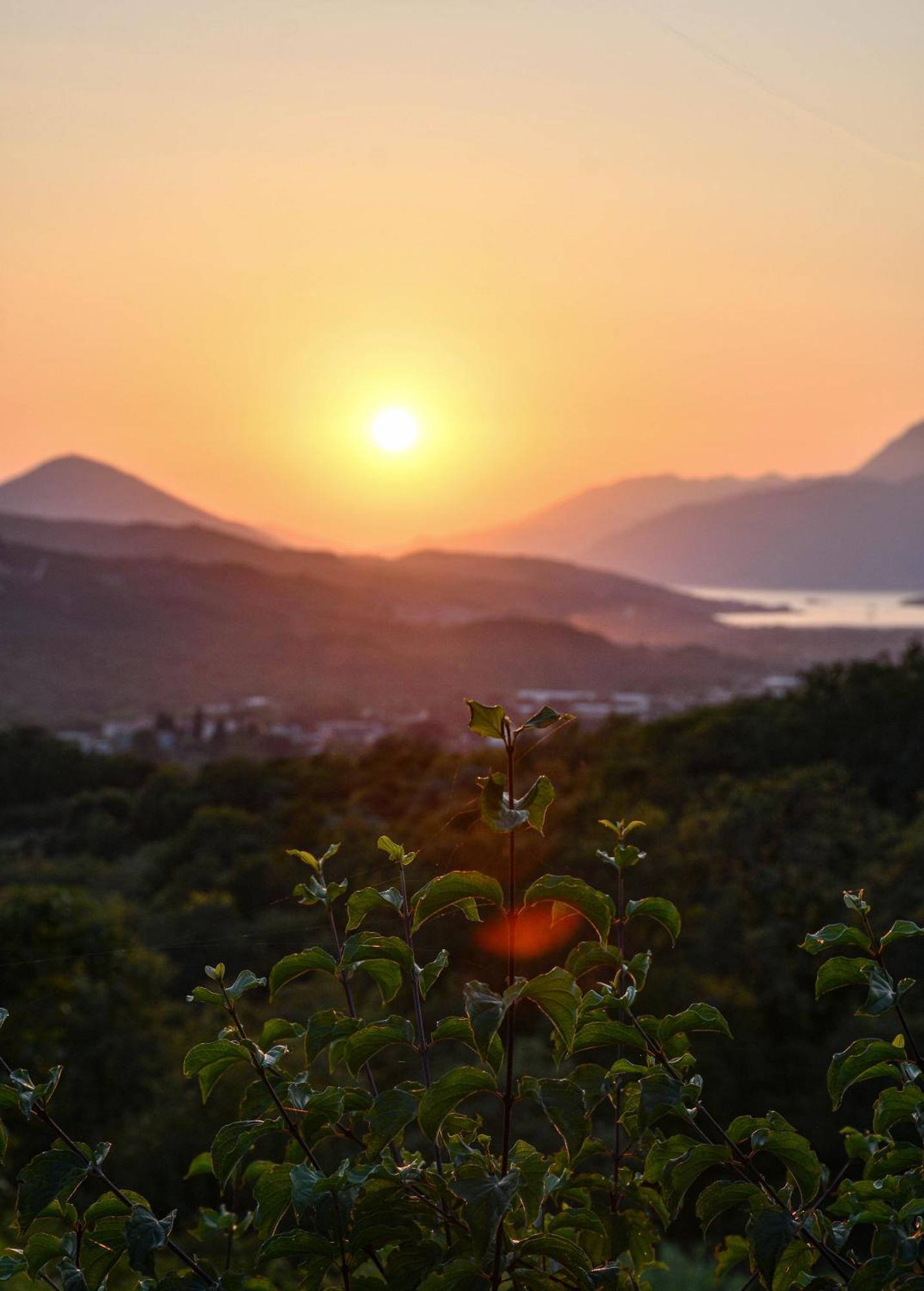 Raj Apartman Kotor Kültér fotó