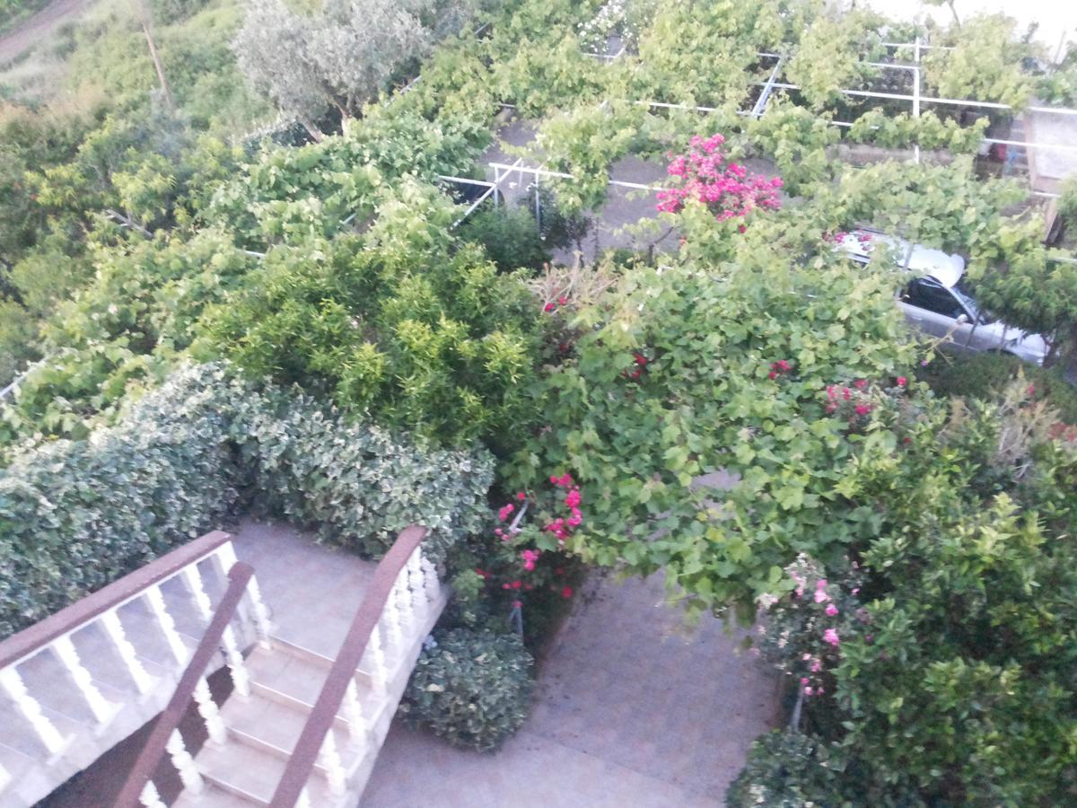 Raj Apartman Kotor Kültér fotó